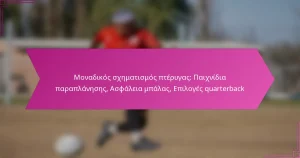 Μοναδικός σχηματισμός πτέρυγας: Παιχνίδια παραπλάνησης, Ασφάλεια μπάλας, Επιλογές quarterback